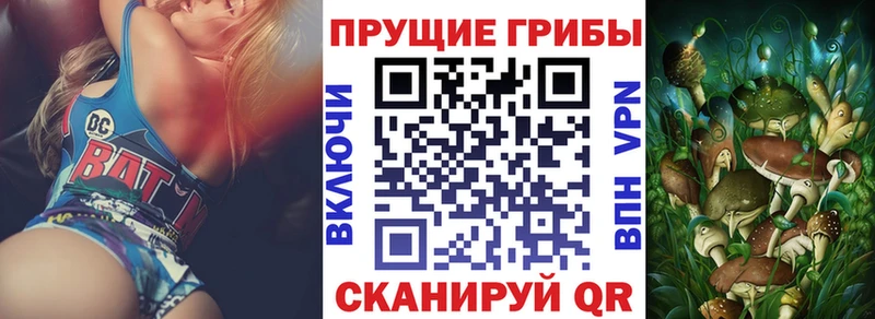 сайты даркнета Telegram  kraken маркетплейс  Галлюциногенные грибы Magic Shrooms  Карасук  сколько стоит 