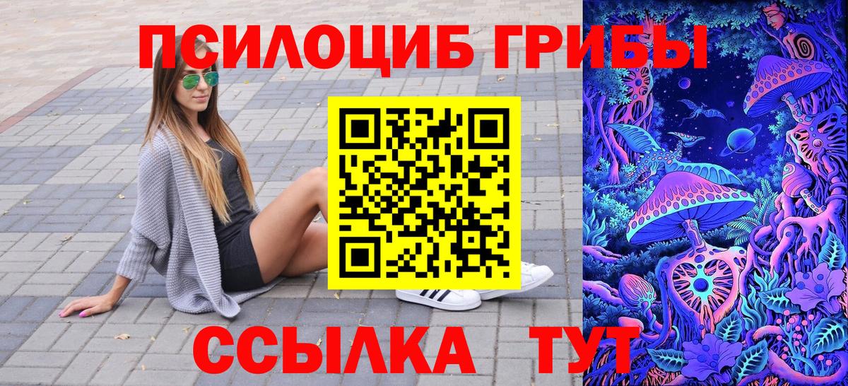 Псилоцибиновые грибы Psilocybine cubensis Карасук