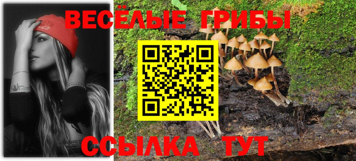 Галлюциногенные грибы ЛСД  Вход с VPN  где купить   Карасук 