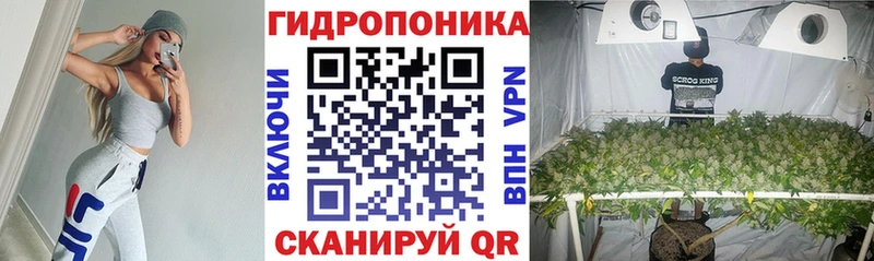 Шишки марихуана план что такое Карасук